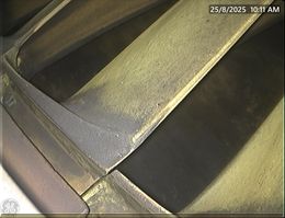 抑钒剂（5）
