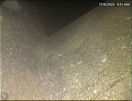 抑钒剂（6）