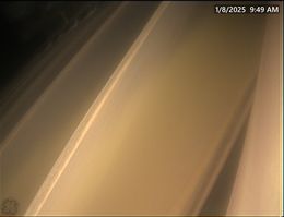 抑钒剂（7）
